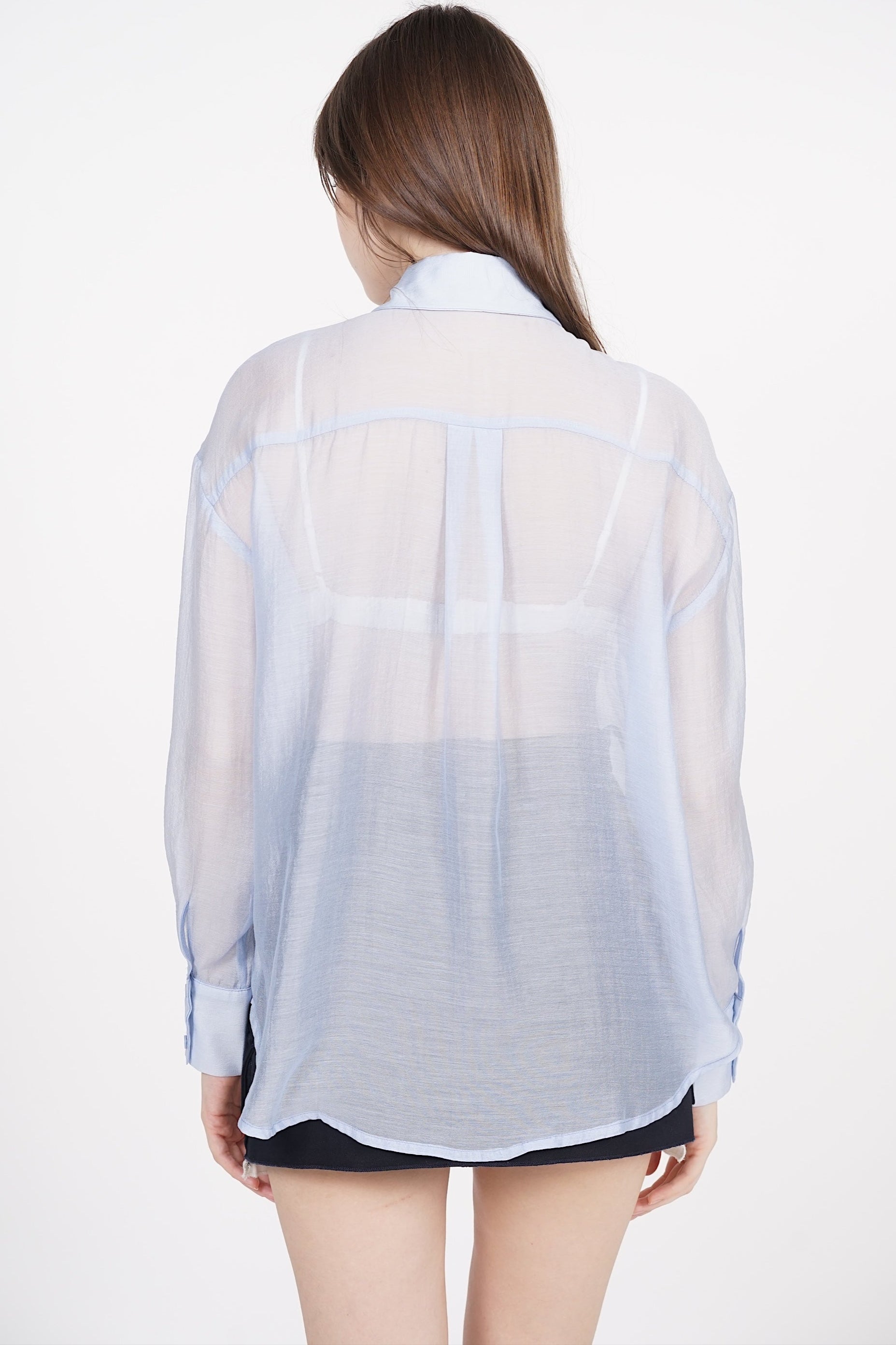 Sheer Blouse Long Sleeve Top in Blue