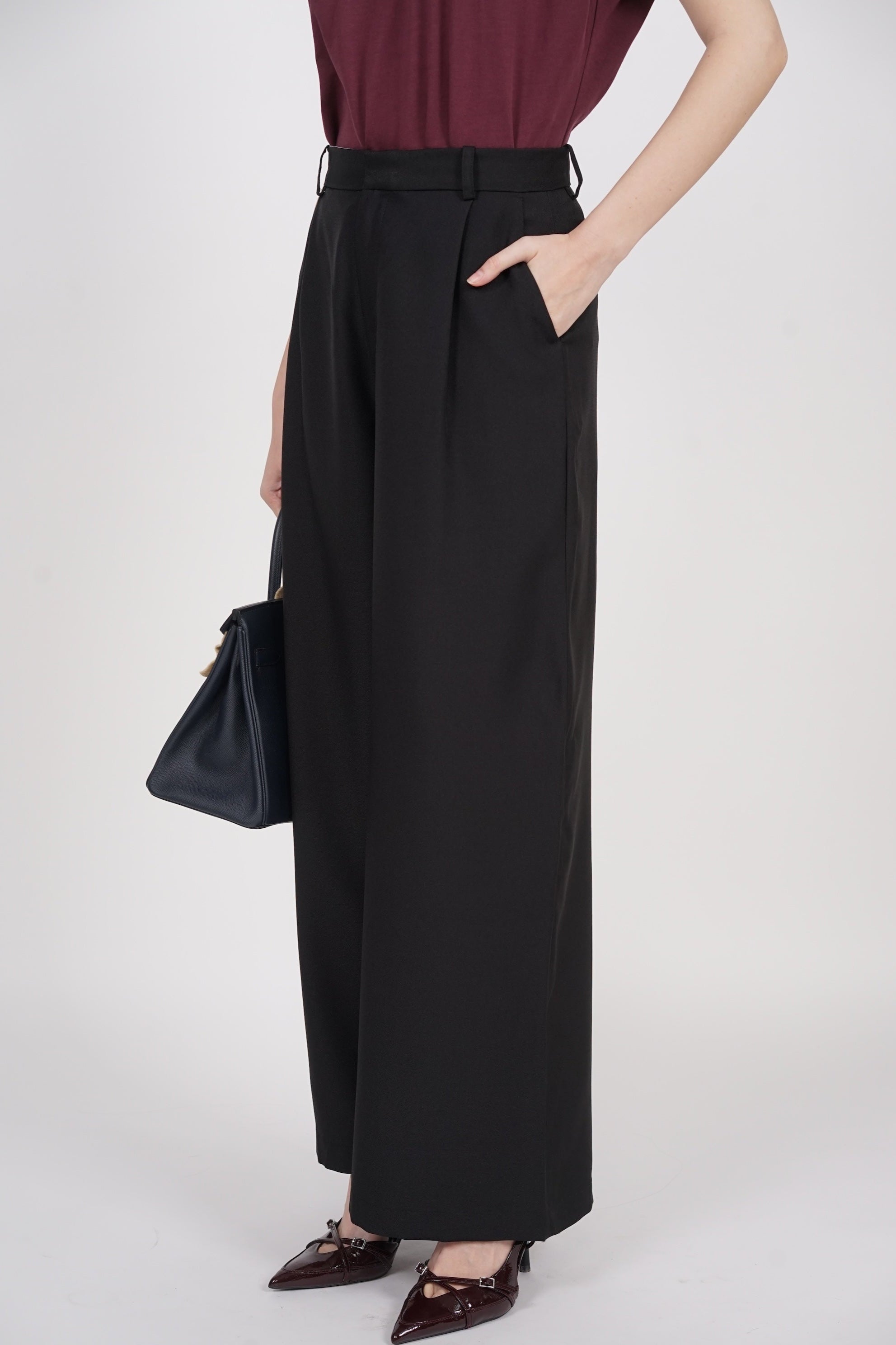 Front Pleat Low Waist Pants in Black