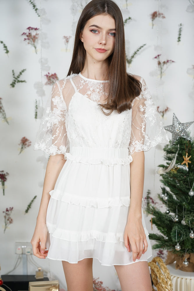 Carmilla Embroidered Dress in White