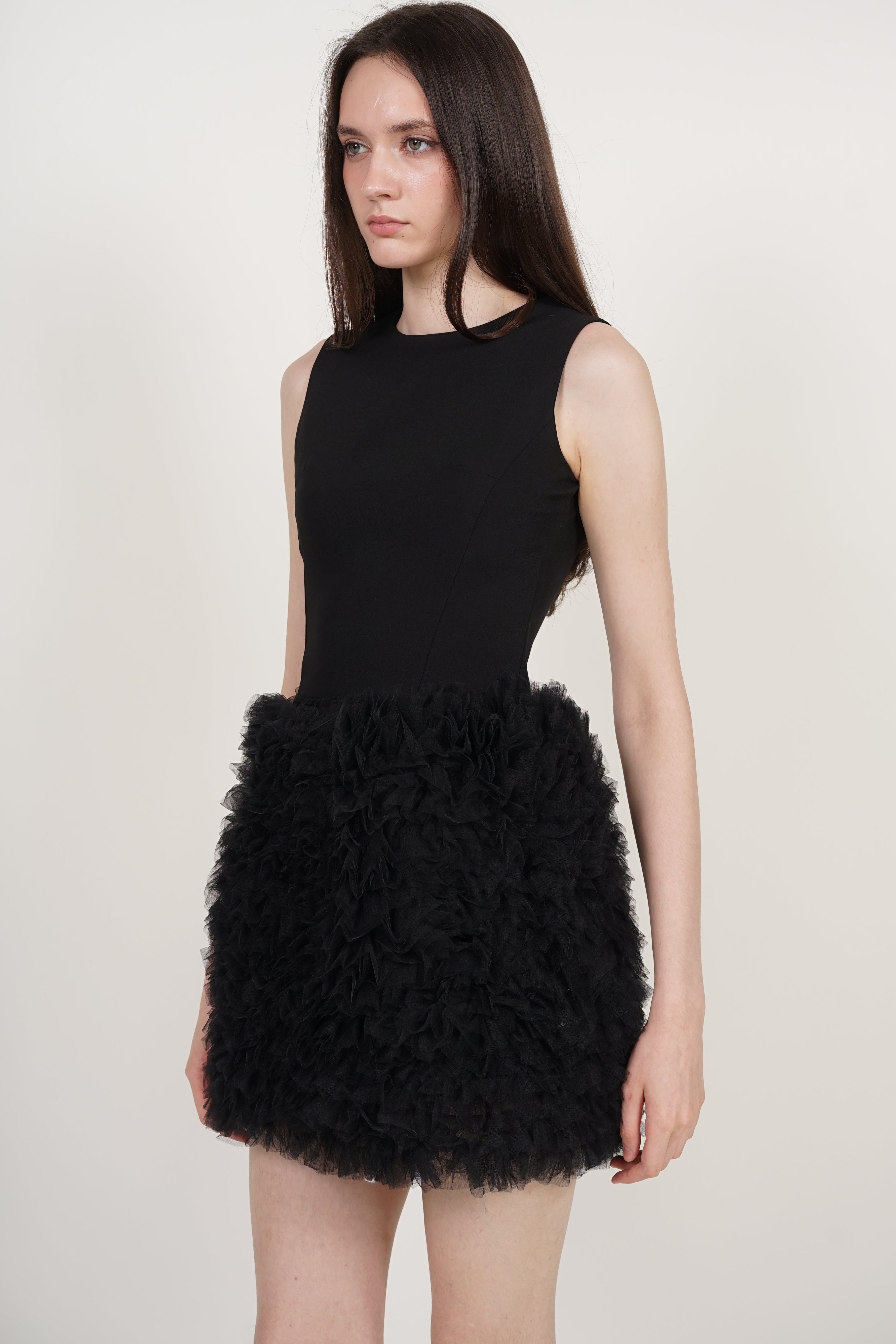 A-Line Mesh Tutu Dress in Black