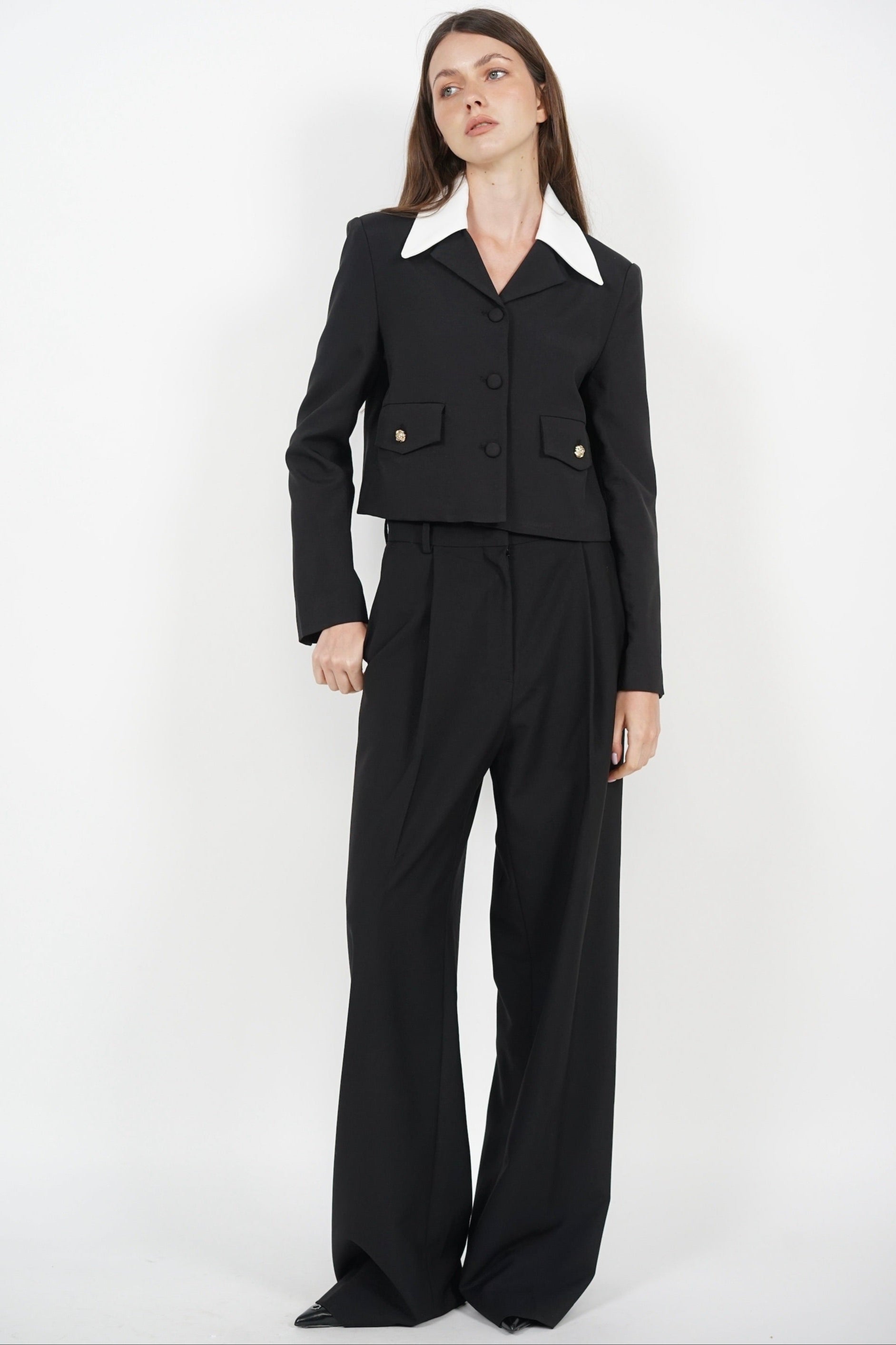 Front Pleat Low Waist Pants in Black