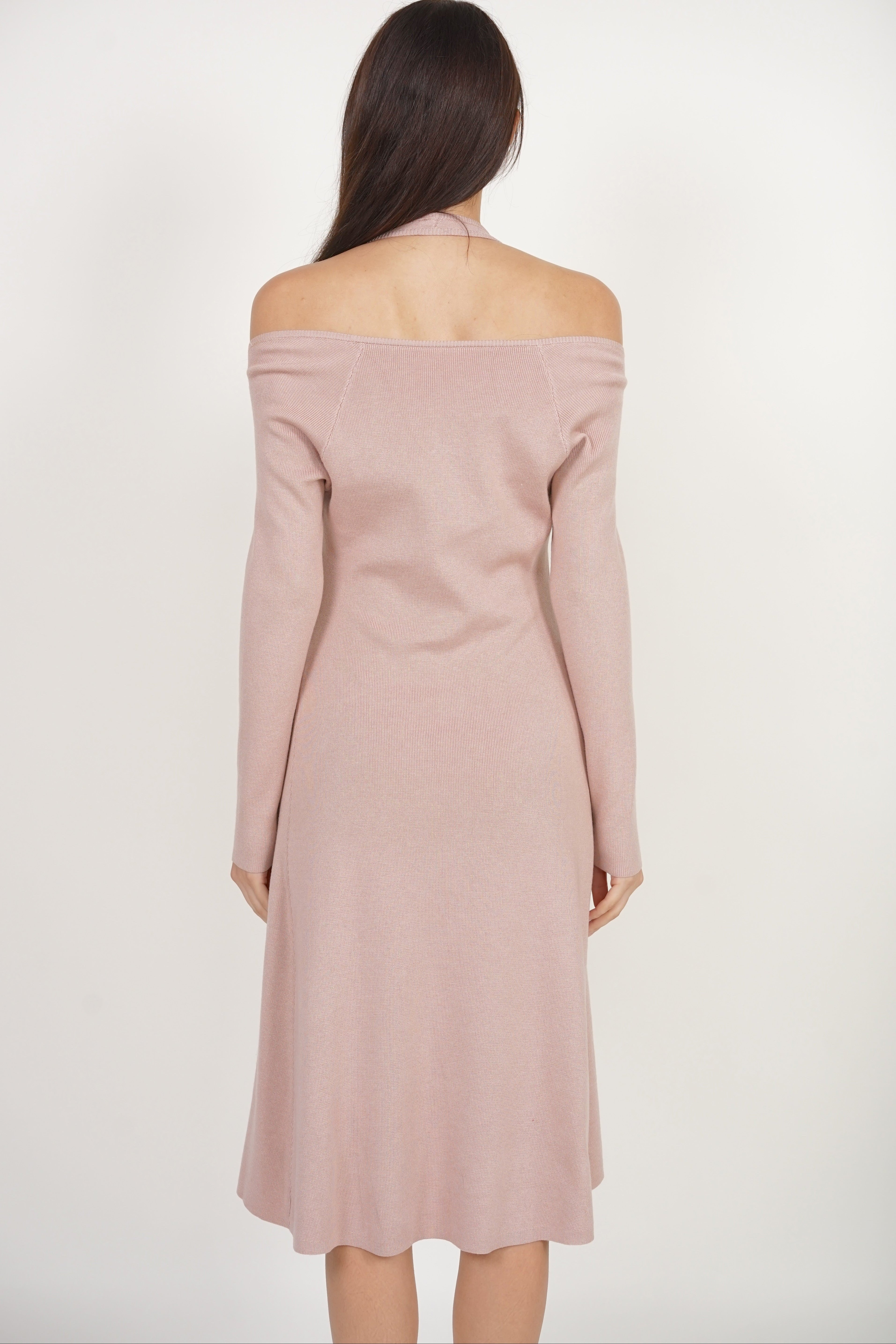 Long Sleeve Knit Dress in Nude Pink