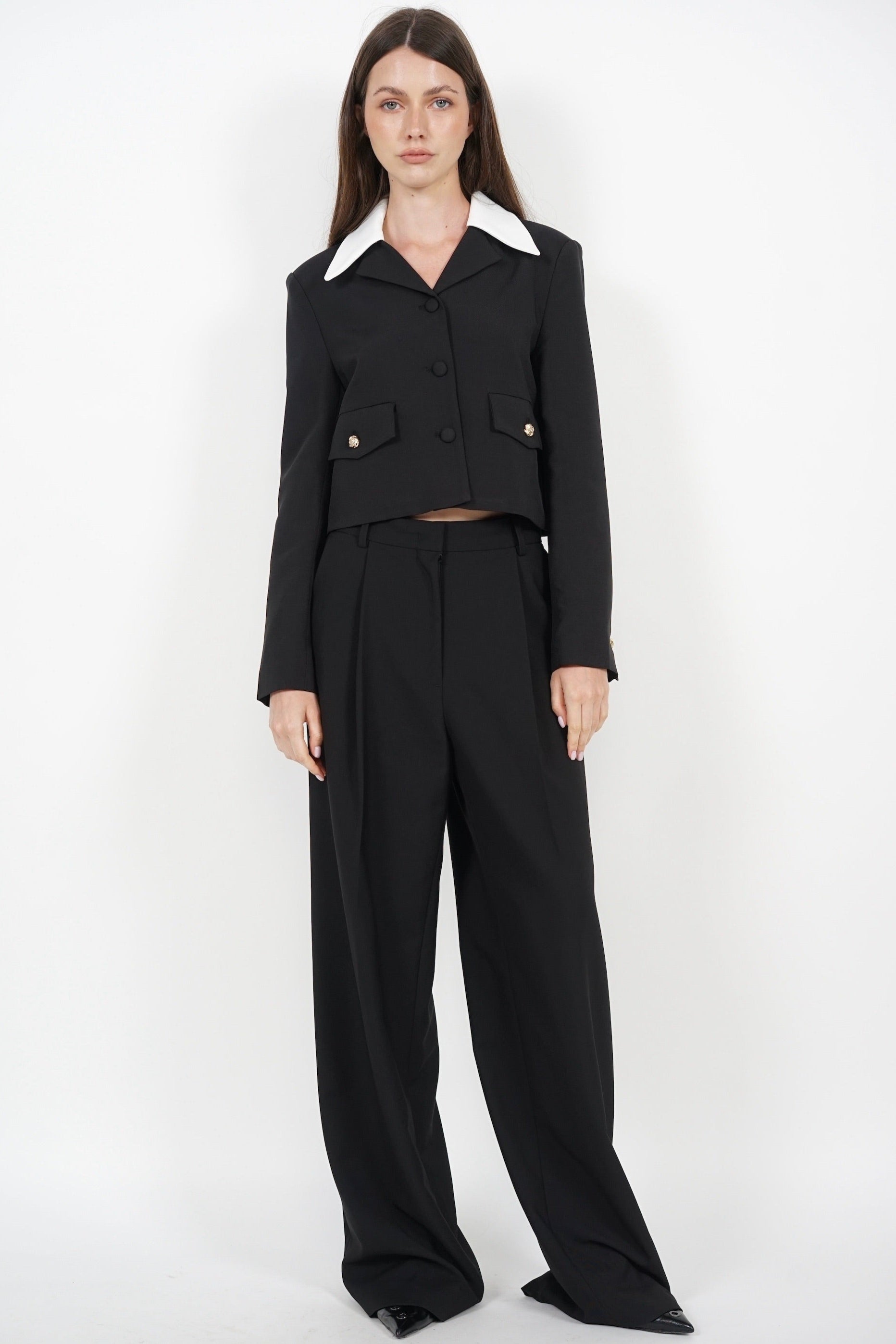 Front Pleat Low Waist Pants in Black